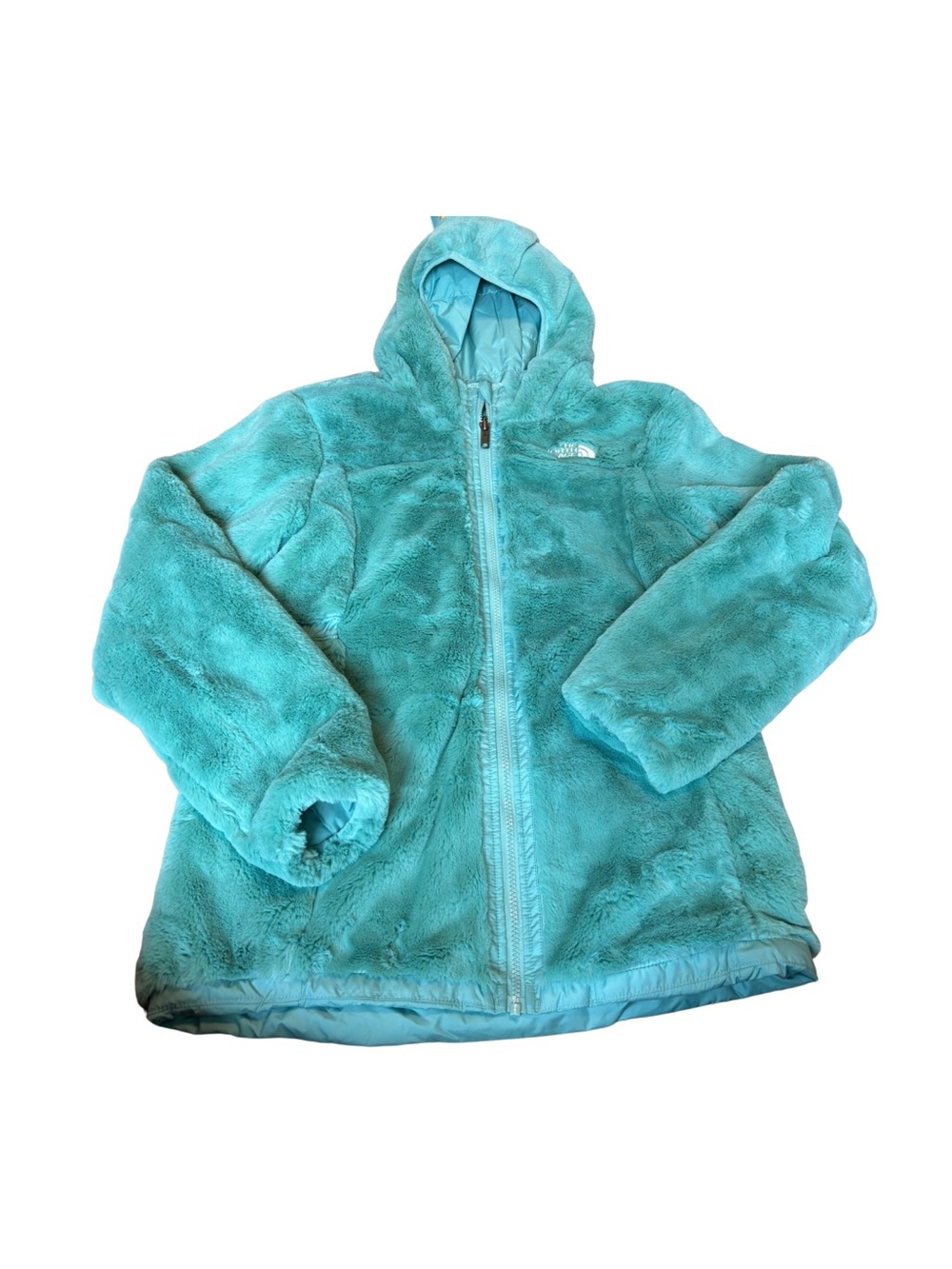 The North Face Turquoise Plush Hooded Fleece Jacket